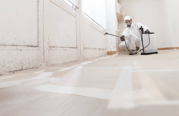 24/7 Emergency Black Mold Remediation experts in Milton, GA