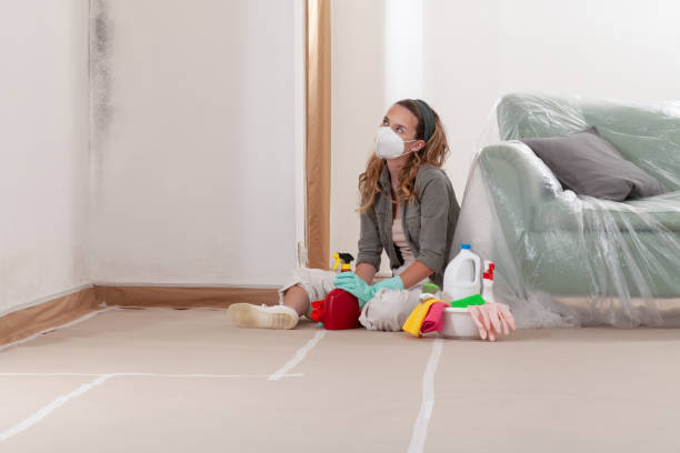 Reliable Black Mold Remediation contractor in Milton, GA by Mold Remediation HQ